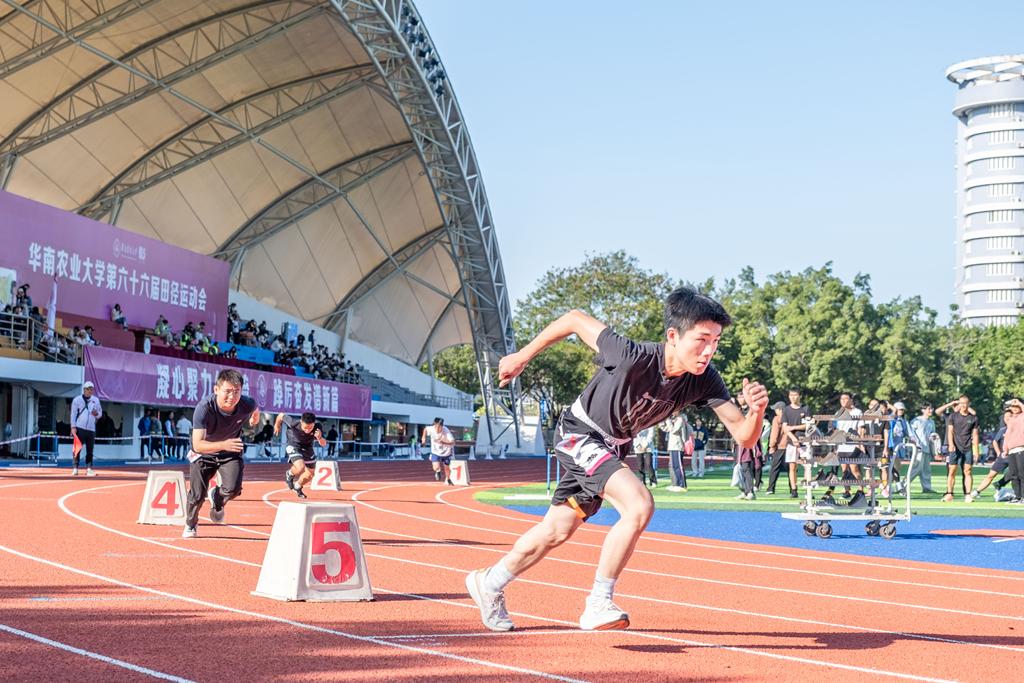 竞技场上的战斗：球队蓄势待发