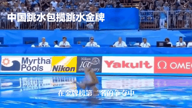 利记-跳水盛宴：中国选手包揽跳水项目